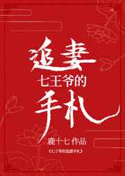七王爷的追妻手札