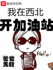 我在西北开加油站[校对版]
