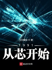 1991从芯开始[校对版]