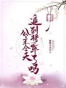 公主今天追到将军了吗