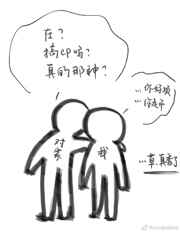 荧幕cp总和我假戏真做
