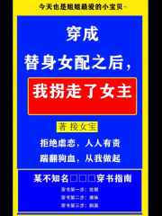 穿成替身女配之后，我拐走了女主
