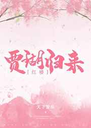 贾瑚归来