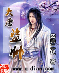 大唐盗帅[校对版]