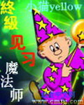 终极见习魔法师[精校版]