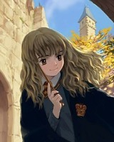 哈利的魔法世界[校对版]