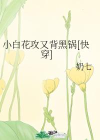小白花攻又背黑锅[快穿]