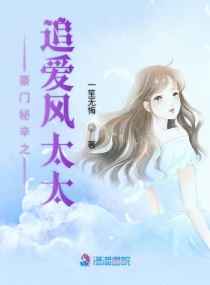豪门秘辛之追爱风太太