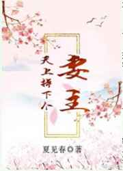 天上掉下个妻主