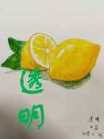 透明