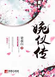 婉仪传
