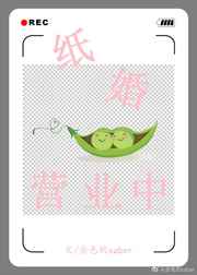 纸婚营业中