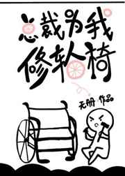 总裁为我修轮椅