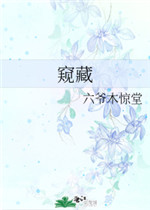 窥藏