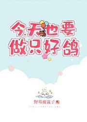 今天也要做只好鸽