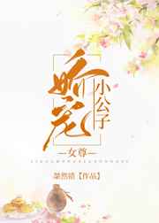 娇宠小公子