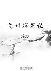 蜀州探案记