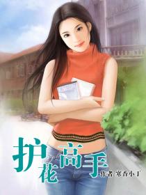 护花高手[校对版]