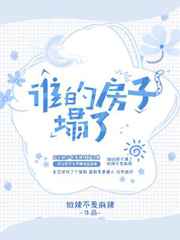 谁的房子塌了