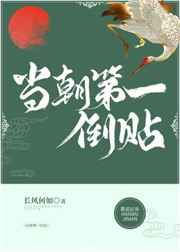 当朝第一倒贴