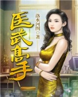 医武高手[校对版]