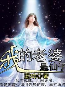 我的老婆是仙子[校对版]